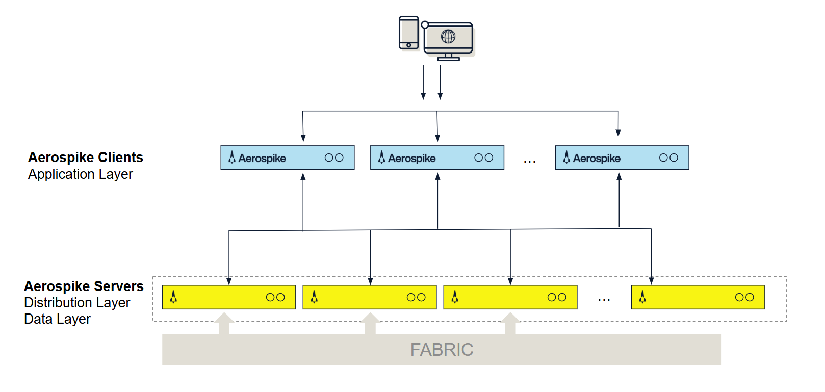 Aerospike Architecture