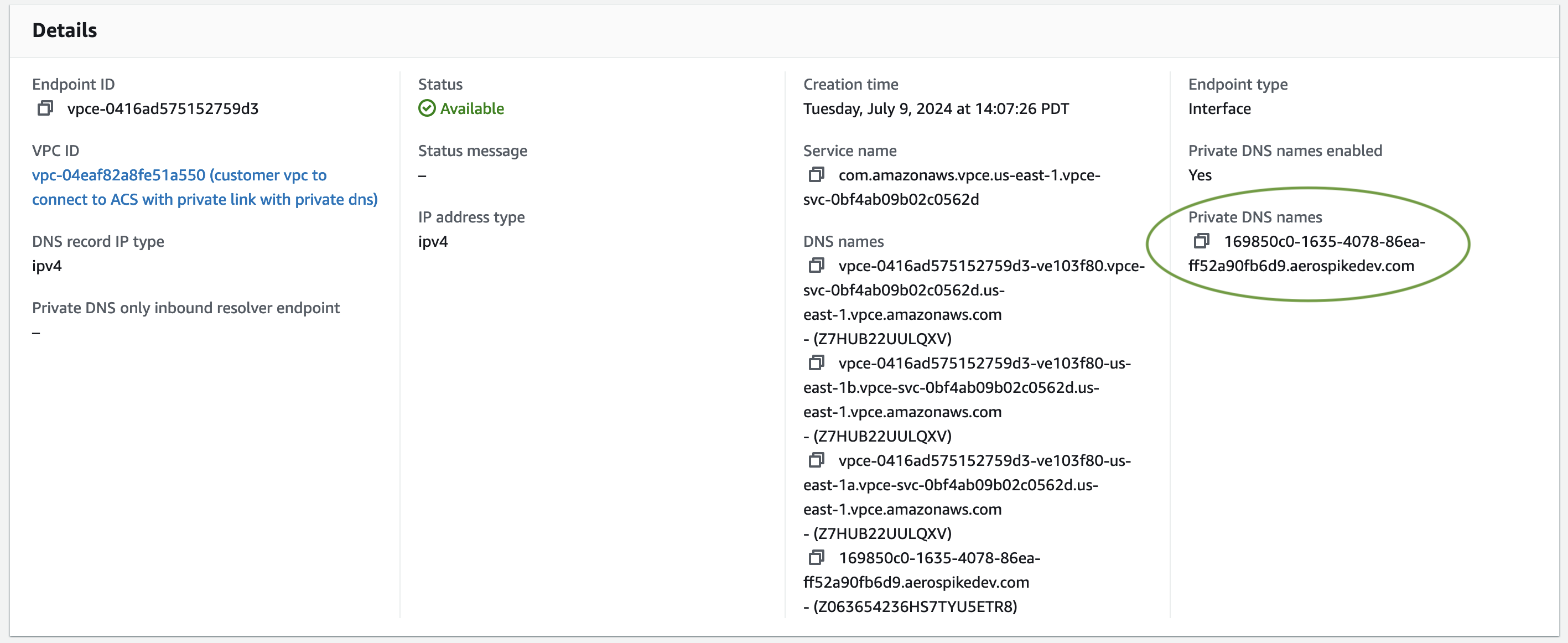 Private DNS Names Example